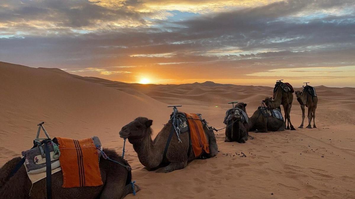 Chegaga Desert Trips M'Hamid Exterior photo